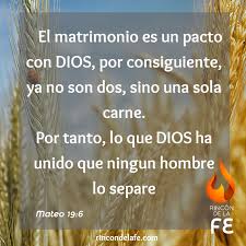 Son un grito al amor, una mano en tu hombro que hará que sin duda alguna. Frases De Amor Cristianas Para Recien Casados