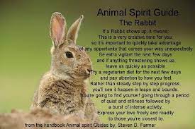 The ancient mayans thought the moon's change of phase resembled the motion of a jumping rabbit. Pin By Mandie Taylor On Spirit Animals And Guides Animal Spirit Guides Animal Totem Spirit Guides Spirit Animal Totem