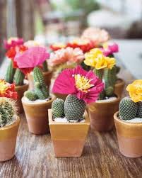 Create centerpieces for weddings with affordable vases, candle holders and floral sprays from shopwildthings. 25 Cactus Wedding Ideas You Ll Love Deer Pearl Flowers