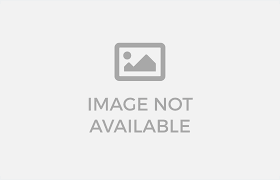 Asmr Network Joi Instructional Jerk Off Video Leaked Videos Porno -  XXXCULONAS