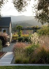 Korean feather reed grass's growth habit and feathery plumes are more rounded and fuller than other more common (and often overused) calamagrostis varieties. Landscaping With Ornamental Grasses The Happy Housie