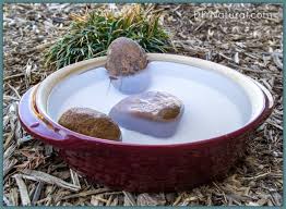 Maybe you would like to learn more about one of these? Learn How To Attract Bees And Other Pollinators Naturally