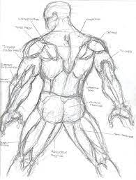 We did not find results for: Back Muscles Study Human Anatomy Art Anatomy Art Art Reference Poses