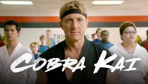 In 2018 he took on his cobra kai role, as the series originally aired on youtube. Cobra Kai Season 3 Netflix Release Date Plot Cast Other Details