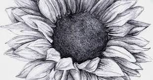 Beautiful Black And White Tattoo Drawings Brushstrokes Etc Sunflower Tattoo Sunflower Tattoos Sunflower Tattoo Body Art Tattoos