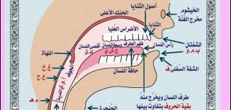 تعريف مخارج الحروف موضوع