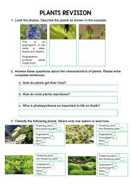 Learn vocabulary, terms and more with flashcards, games and other study tools. Plants Exercise For 5