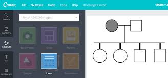 4 Best Free Online Pedigree Chart Maker Websites