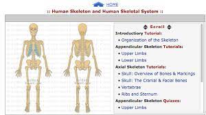 Learn anatomy faster and remember everything you learn. Cvt Complete Vocal Coach