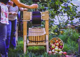 Image result for pressing apples into cider