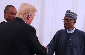 Image result for trump buhari