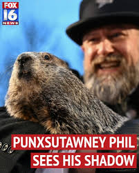 DAY OF THE GROUNDHOG: Punxsutawney Phil wandered outside