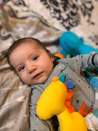 Cute photo of a dog with a ball