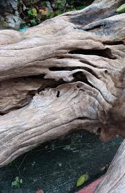 We did not find results for: Clean And Preserve Driftwood How To Sandbetweenmypiggies Com