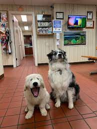 Check spelling or type a new query. Flowers Mill Veterinary Hospital Home Facebook