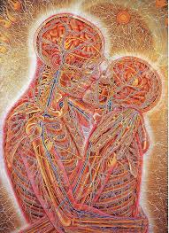 Anatomy 1080p 2k 4k 5k Hd Wallpapers Free Download Wallpaper Flare