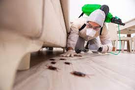 Connect consumers with trusted exterminator professionals near you 10 Best Pest Control Products