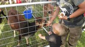 Outlaw Farms Traveling Petting Zoo