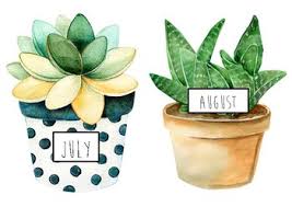 watercolour succulent birthday chart