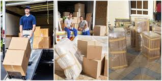 Are you a plumbing company owner or wanting to own a plumbing company in the future? Villa Movers Villa Movers Packers Dubai Helper