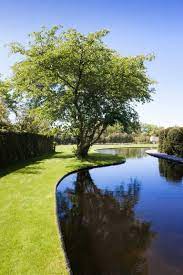 zwemvijver met organische vorm met terras is de trekpleister van deze landelijke tuin de mooiste zwembaden zwemvijvers achtertuin vijvers tuin