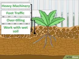 We did not find results for: 3 Ways To Fix Compacted Soil Wikihow