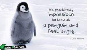 These are the best examples of penguin quotes on poetrysoup. Quotes About Penguin 65 Quotes
