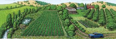 There are many trees that will grow well in michigan. Vermont Organic Fruit Trees Prospectrock Org