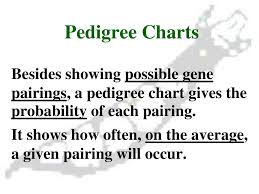 Pedigree Charts How To Work Dominant And Recessive Genetic