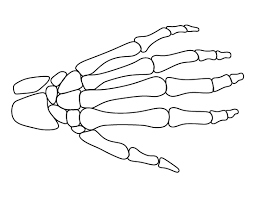 Study of the human hand not rated yet this is a sketch i did of my hand. Pin On Printable Patterns At Patternuniverse Com