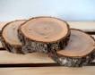 Wood Slices small - to in diameter