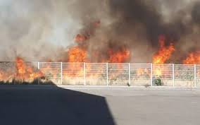 You can see the latest trending searches news by google search. Fuego Movilizo A Bomberos En Alrededores Del Aeropuerto De Gdl El Occidental Noticias Locales Policiacas Sobre Mexico Guadalajara Y El Mundo