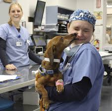 Photos, address, phone number, opening hours, and visitor feedback and photos on yandex.maps. Angell Animal Medical Center Linkedin