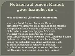 Unschuld, du licht meiner augen: Friederike Mayrocker Liebesgedichte