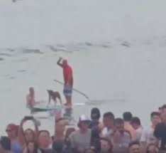 Gabriel Pensador Rimando Para O Parafina Surf Dog E Augusto Martins Pet Trip Assessoria Para Transporte Internacional De Pets