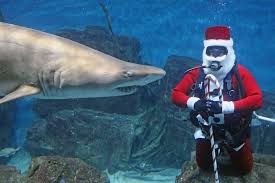 52 Awesome Santa Activities For Kids In Connecticut Santa Activity Kids Things To Do Kids