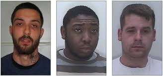 'Cuckoo' drug gang members jailed