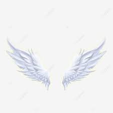 realistic angel wings material elements realistic angel wings fan png transparent clipart image and psd file for free download in 2021 angel wings pictures purple galaxy wallpaper cartoon wings