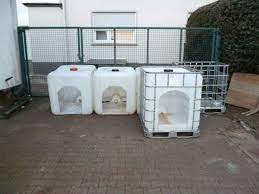 Calf Shelters Made Out Of Repurposed Materials Easy On Calves, Pocketbook |  Tsln.com