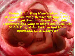 Berapa pun usianya, seorang anak akan tersentuh saat mendengar ungkapan sayang dari orangtuanya. Kata Kata Mutiara Ingin Punya Anak Katapos