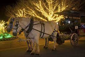 Carriage Rides Are Available On Select Evenings During Holidays At The Garden 2013 At Daniel Stowe Botanical Garden Holiday Images Botanical Gardens Botanical