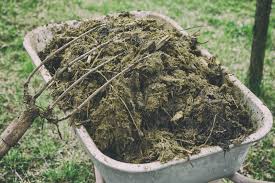 Typical organic fertilizers include mineral sources, all animal waste including meat processing, manure. Different Types Of Animal Manure Pros And Cons Of Using Manure As Fertilizer