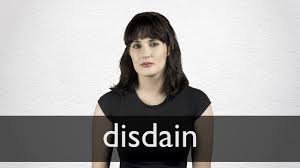 The feeling or attitude of regarding someone or something as. Disdain Definition And Meaning Collins English Dictionary