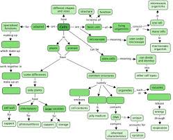 How do human cheek cells and elodea cells differ? 1 2 Difference Between Plant And Animal Cells Cells As The Basic Units Of Life Siyavula
