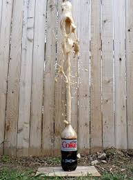Erupting Diet Coke With Mentos Stem Activity Stem Activities Science Activities Diet Coke