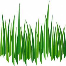 Pin By Kushalagarwalkushal On Png Grass Painting Grass Clipart Grass