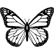 Black And White Butterfly Drawing Black And White Butterfly Liked On Polyvore Featuring Butterflies Backgrounds Filler Phrase Butterfly Clip Art Butterfly Outline Butterfly Coloring Page