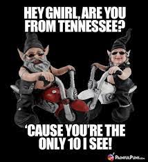 Hey Gnirl Are You From Tennessee Cause You Re The Only 10 I See Pick Up Lines Cheesy Pick Up Lines Funny Pick Up Lines