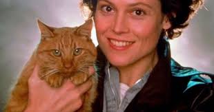 If you were in Ripley's shoes, how many of you would've went back for Jones  the Cat? : r/LV426