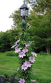 Lamp posts tend to stick out like a sore thumb and look bare especially if they are in the front yard but there are ways to garden around it by adding flowers. 10 Best Lamp Post Landscaping Ideas Front Yard Landscaping Garden Landscaping Front Yard